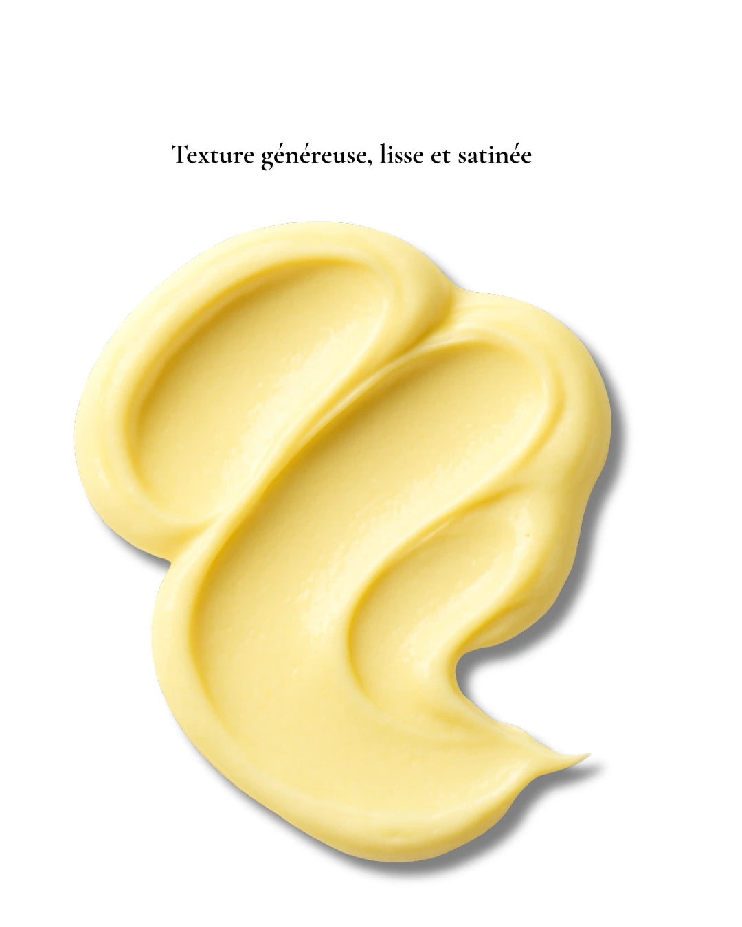 Nourrissante Absolue⎪Crème riche réparatrice - 50ml