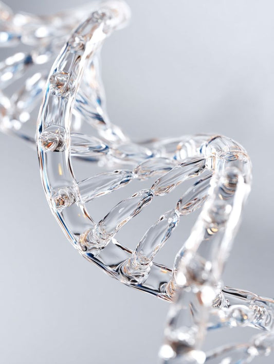 Ṅ ⎪Niacinamid-Feuchtigkeitsgel – Vitamin B3 – Gleicht den Hautton aus