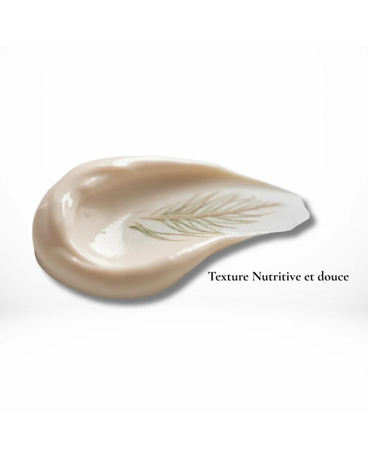 Nuit Sculptante⎪Crème régénérante au Collagène Végétal - 50ml